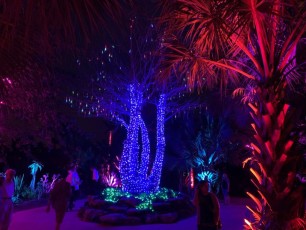 Les grandioses illuminations de Noël des Jardins Botaniques de Naples (Floride)
