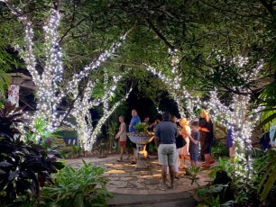 Decorations-illuminations-de-Noel-jardins-botaniques-botanical-garden-naples-Floride-6038