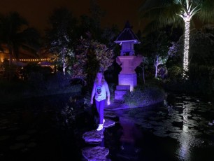 Decorations-illuminations-de-Noel-jardins-botaniques-botanical-garden-naples-Floride-6045