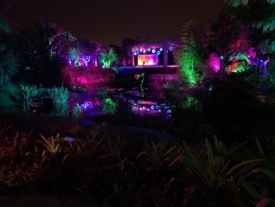 Decorations-illuminations-de-Noel-jardins-botaniques-botanical-garden-naples-Floride-6065
