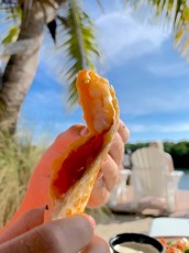 Un (très américain !!) quesadilla aux crevettes à The Gateway, le tiki bar près de Weedon Island à St Petersburg en Floride