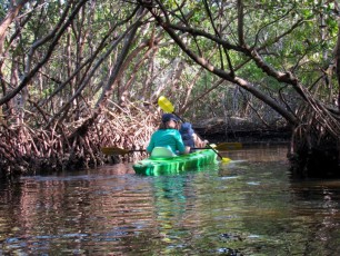 weedon-island-tunnels-de-mangrove-st-petersburg-kayak-Floride-4157