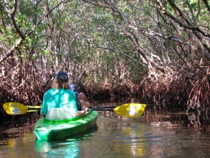weedon-island-tunnels-de-mangrove-st-petersburg-kayak-Floride-4175