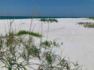 Gulf-islands-National-Seashore-Floride-9435