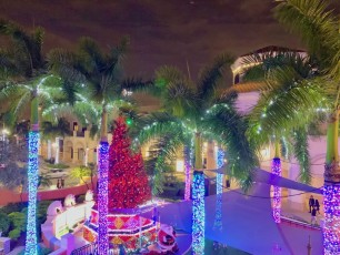 Noel-Gulfstream-Park-Hallandale-Beach-decorations-illuminations-Floride-2194