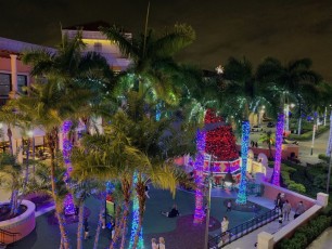 Noel-Gulfstream-Park-Hallandale-Beach-decorations-illuminations-Floride-2201