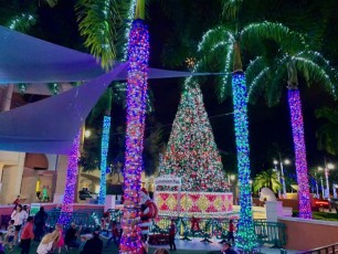 Noel-Gulfstream-Park-Hallandale-Beach-decorations-illuminations-Floride-2241