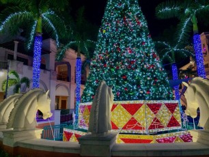 Hallandale : les décorations de Noël au Gulfstream Park en vidéo et photos
