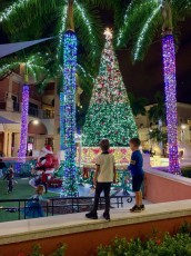 Noel-Gulfstream-Park-Hallandale-Beach-decorations-illuminations-Floride-2273