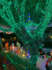 decorations-Noel-2418-whale-Harbor-Ln-Fort-Lauderdale-Floride-2514