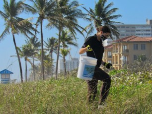 Les Canadiens ont nettoyé la plage de Hollywood en Floride