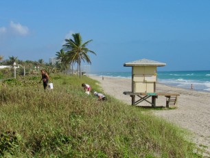 ramassage-dechets-clean-up-canadiens-nettoyage-plage-hollywood-beach-Floride-7637