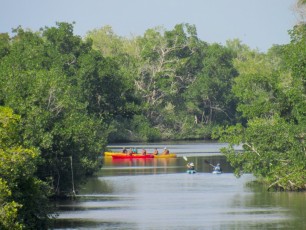 Kayaks sur le canal à Flamingo