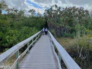 Mahogany Hammock : une île dans les Everglades