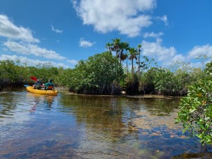 Noble-Hammock-Trail-kayak-canoe-parc-national-des-Everglades-Floride-3967