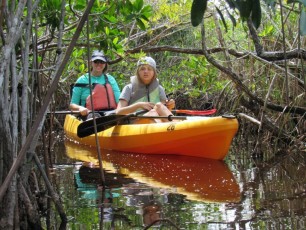 Noble-Hammock-Trail-kayak-canoe-parc-national-des-Everglades-Floride-7729