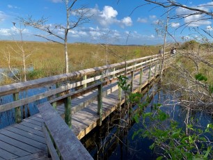 Pa-Hay-Okee (Everglades national Park)
