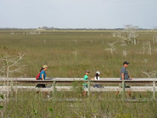 Pa-Hay-Okee-Trail-parc-national-des-Everglades-Floride-7860