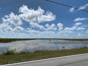 parc-national-des-Everglades-Floride-4453