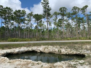 Un cenote dans le parc national des Everglades.