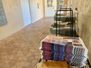 Le Courrier de Floride / Le Courrier des Amériques