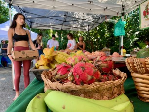 Miami : Visite du joli marché de Vizcaya Village