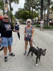 Si vous voulez apprendre à prévenir les problèmes qui peuvent arriver à votre chien, ou bien les gestes qui sauvent en cas d'accident, vous pouvez faire appel à Christine Escanes qui est coach en "comportement canin" en sud Floride (Miami et Broward).