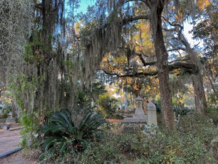 Bonaventure-cemetery-Savannah-5214