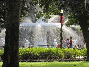 Forsyth-Park-Savannah-1496