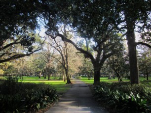 Forsyth-Park-Savannah-1513