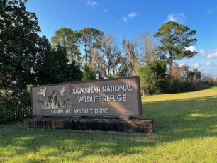 Savannah-National-Wildlife-Refuge-6696