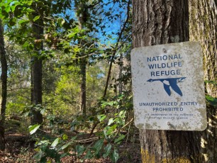Savannah National-Wildlife Refuge