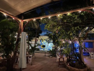 noemies-garden-restaurant-haitien-miami-9895