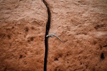 Goblins-valley-state-park-utah-6692