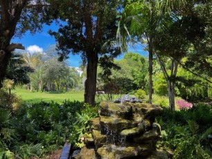 Miami-Beach-Botanical-Garden-6061