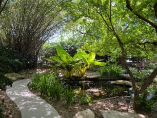 Miami-Beach-Botanical-Garden-6066