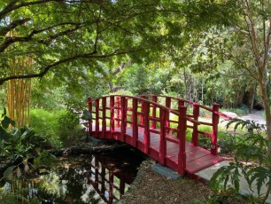 LeJardin Botanique de Miami Beach