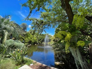 Miami-Beach-Botanical-Garden-6099