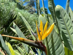 Miami-Beach-Botanical-Garden-6102