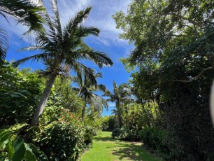 Miami-Beach-Botanical-Garden-6114