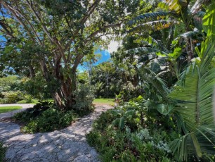 Miami-Beach-Botanical-Garden-6130