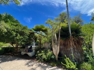 LeJardin Botanique de Miami Beach