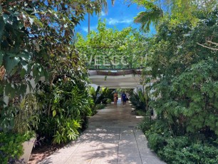 Miami-Beach-Botanical-Garden-6146