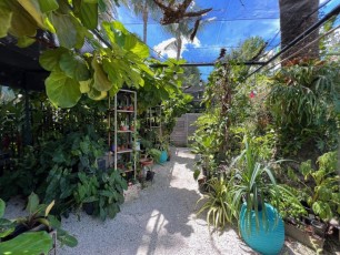 Miami-Beach-Botanical-Garden-6160
