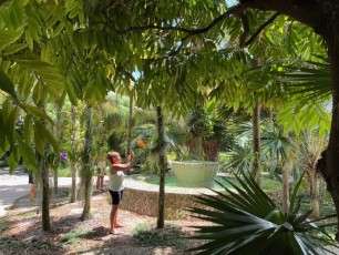 Miami-Beach-Botanical-Garden-6166