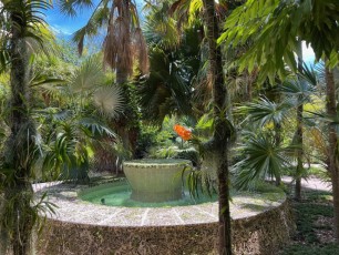 Miami-Beach-Botanical-Garden-6169