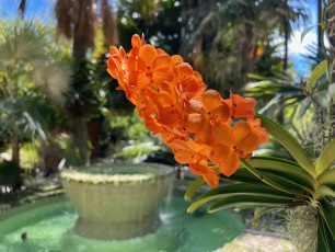 Miami-Beach-Botanical-Garden-6175