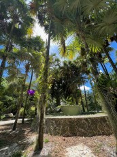 Miami-Beach-Botanical-Garden-6180