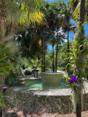 Miami-Beach-Botanical-Garden-6187
