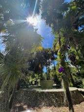 Miami-Beach-Botanical-Garden-6188